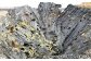 製造過程での割れや欠け、縮みにより、規格外となったはばのりです。