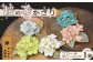 春のイベントにぴったりのアクセサリー。桜の花がさりげなく華やかさを演出します。