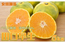 【数量限定・先行予約】甘みが強く最高の食感 早生 温州みかん『田口早生』５kg　[0009-0027]