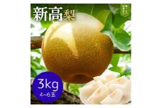 ※先行予約※【新高3kg】かまがやの梨