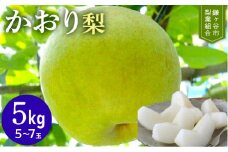 ※先行予約※【かおり5kg】かまがや育ちの完熟梨（梨業組合）