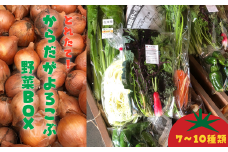 【夏限定】からだがよろこぶ野菜BOX-S