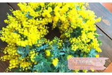 【MioMimosa】ミモザのお花リース