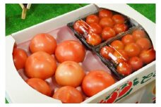 【ファームこがねや】大玉&フルーツトマトのトマトづくしセット