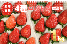 【贈答・家用】大粒あま～い完熟いちご1㎏