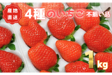あま～い完熟いちご！【不揃い】1kg