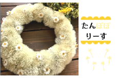 【MioMimosa】【春のリース】真っ白なたんぽぽのリース