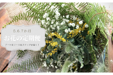 【MioMimosa】5月からブーケ・リース・スワッグが届く！お花の3か月定期便