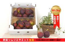 【簡易包装/不揃い】生産者直送！無花果（いちじく）約1.5kg