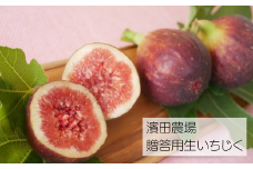 【贈答用】生産者直送！無花果（いちじく）12粒入り 約1kg