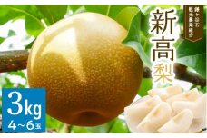 【新高約3kg】かまがや育ちの完熟梨（観光組合）4~6玉