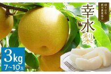 【幸水 約3kg】かまがや育ちの完熟梨（観光組合）