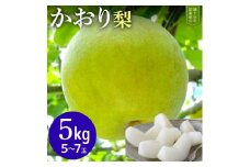 【かおり約5kg】かまがや育ちの完熟梨（梨業組合）