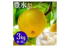【豊水3kg】かまがや育ちの完熟梨（梨業組合）6～9玉