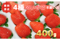 あま～い完熟いちご！【不揃い】400g