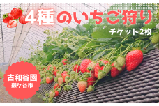 【2024.3/1～4/7】いちご狩り大人ペアチケット~シーズン前半~