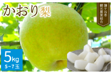 ※先行予約※【かおり5kg】かまがや育ちの完熟梨（観光組合）
