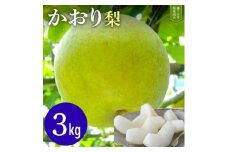 ※先行予約※ 【かおり3kg】かまがやの梨