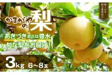 ※先行予約※　かまがやの梨【豊水・あきづきなど旬な梨をお届け】約3㎏
