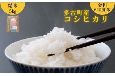 千葉県 多古町産 米 コシヒカリ 令和6年産 精米 5kg 国産 お米