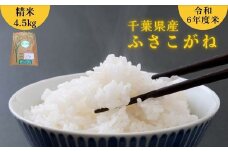 千葉県産 米 ふさこがね 令和6年産 精米 4.5kg 国産 お米