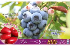ミラクルフルーツ付き♪朝摘みブルーベリー800gセット