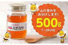 【自然のまま】富津産ハチミツ500g（7～8月の花）