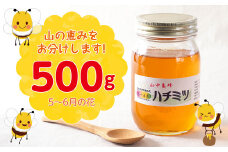 【自然のまま】富津産ハチミツ500g（5～6月の花）
