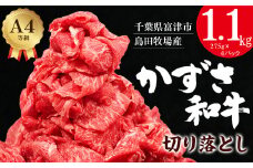 【到着日指定可能】富津市産「かずさ和牛」切り落とし 1.1kg（275g×4パック）【KKO-4】