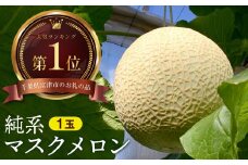 【最高級】純系マスクメロン１玉（化粧箱入）【７～８月発送分】