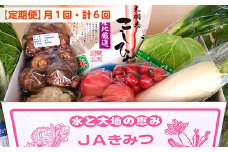 【定期便６ヶ月】野菜詰め合わせ＆天羽米コシヒカリ５kg