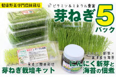 【農薬未使用・無添加】芽ねぎセット（5パック＆栽培キット＆にんにく新芽と海苔の佃煮）