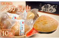 【富津名物】バカ最中（10個入り）