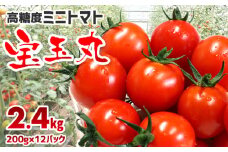 【朝どり直送】高糖度ミニトマト「宝玉丸」200g×12パック 計2.4kg