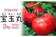 【朝どり直送】高糖度トマト「宝玉丸」3kg