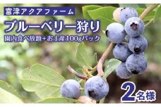 富津アクアファーム　ブルーベリー狩り体験券 ２名様