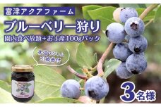 富津アクアファーム　ブルーベリー狩り体験３名様・手造りジャム引換券