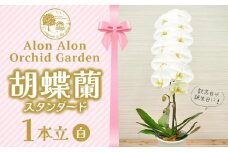 胡蝶蘭（スタンダード）１本立／NPO法人Alon Alon