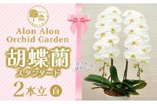 胡蝶蘭（スタンダード）２本立／NPO法人Alon Alon