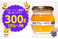 【自然のまま】遠山ブルーベリー農園産ハチミツ300g