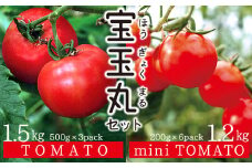 【朝どり直送】高糖度トマト＆ミニトマト「宝玉丸」2.7kg
