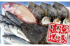【朝獲れ直送！】天羽漁協　旬の魚介５種セット
