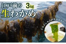 新富津のワカメ（生）3kg