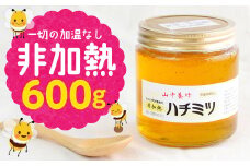 【自然のまま】富津産ハチミツ600g【完全非加熱】
