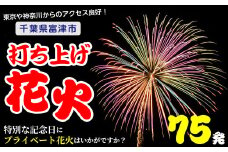 プライベート花火（個人向け打ち上げ花火） 2～4号玉 計75発