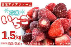 富津アクアファーム　冷凍完熟いちご 1.5kg