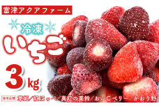 富津アクアファーム　冷凍完熟いちご 3kg（1kg×3パック）