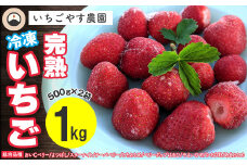 冷凍 完熟いちご１kg（500g×2袋）／いちごやす農園