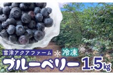 富津アクアファーム　冷凍ブルーベリー1.5kg