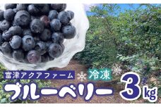 富津アクアファーム　冷凍ブルーベリー3kg（1kg×3袋）